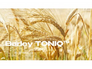 Barley TONIQ [수딩]